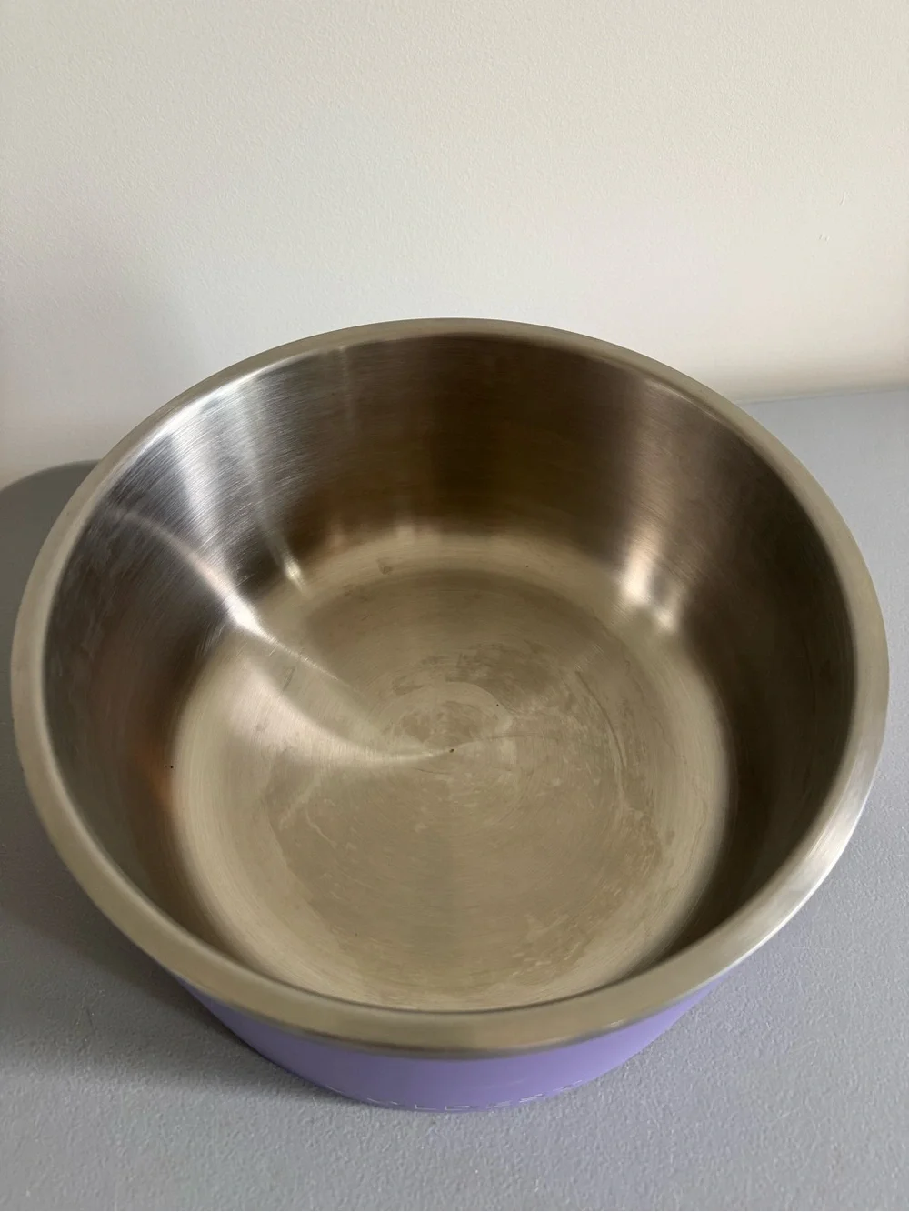 Large Insulated Dog Bowl